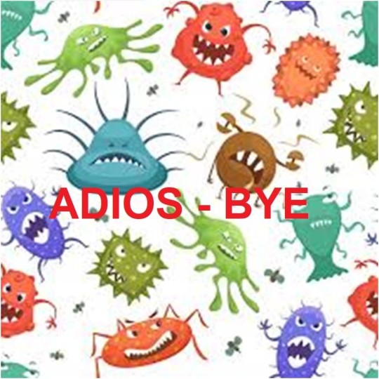 Máquina Generador de Ozono PRO 20g