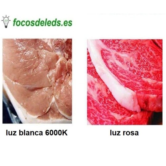 Tubo led 120cm luz rosa carnicería 1 o 2 lados