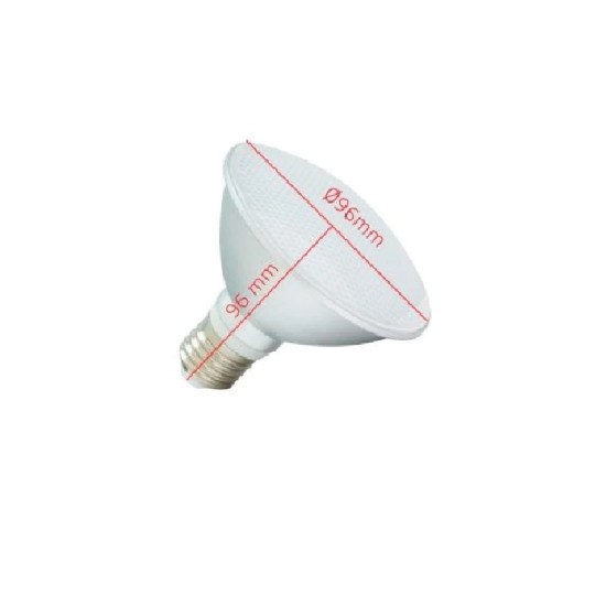 Bombilla led E27 PAR30 10W